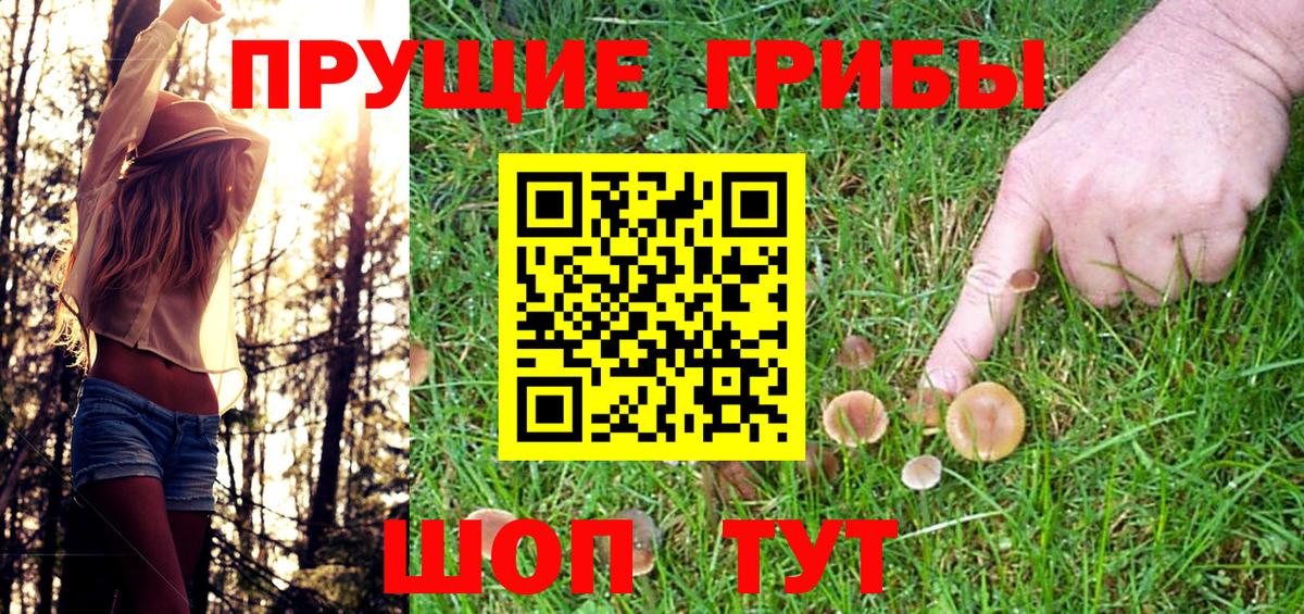 Галлюциногенные грибы Psilocybe Уссурийск